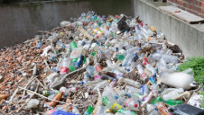 A recent study found that 75% of flounders in the River Thames had ingested plastic